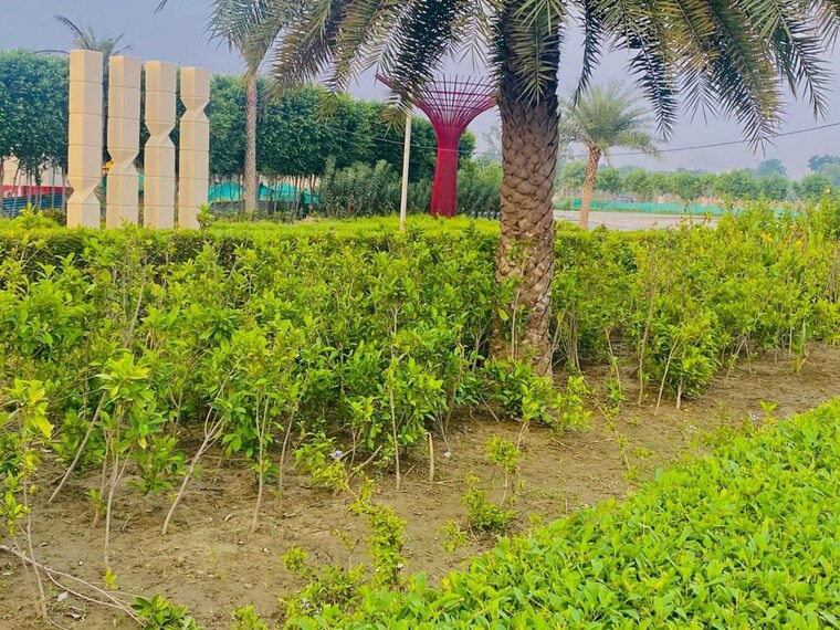 Garden, wing-lucknow-greens-plots  1000 Sq.Ft. Plot In Sultanpur Road Lucknow 10636037