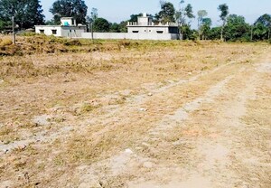 Plot Area in  Plot at Shimla Bypass Road – for Sale