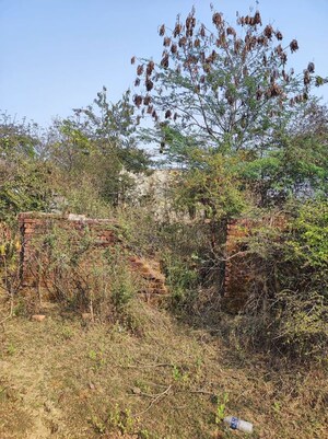  Independent House For Sale in Rajura