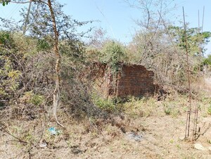 Plot Area in  Independent House at Rajura – for Sale