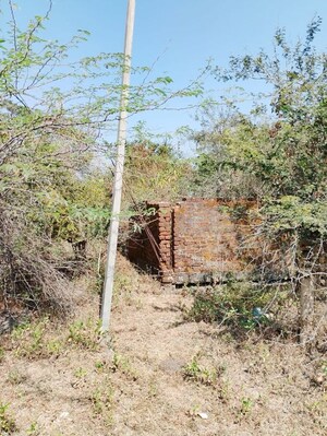 Plot Area in  Independent House at Rajura – for Sale