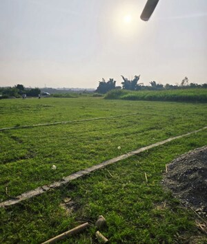 Plot Area in  Plot at Shahpur – for Sale