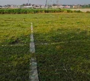 Plot Area in  Plot at Shahpur – for Sale