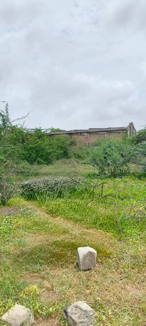 Plot Area in  Land at Dipanjali – for Sale