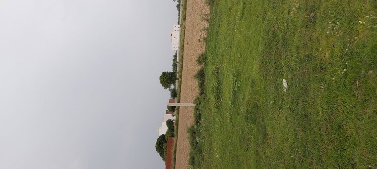 undefined, dhanauli  125 Sq.Yd. Plot In Dhanauli Agra 10636308