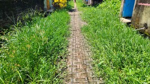  Independent House – Garden View at Ushumpur - for Sale