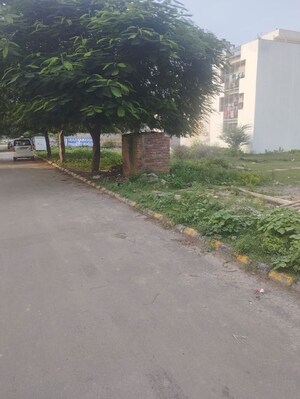   Plot at Parklands, Sector 85 – for Sale