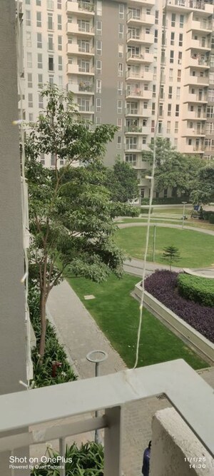 2 BHK Apartment – Garden View at Ireo The Corridors, Sector 67a - for Rent
