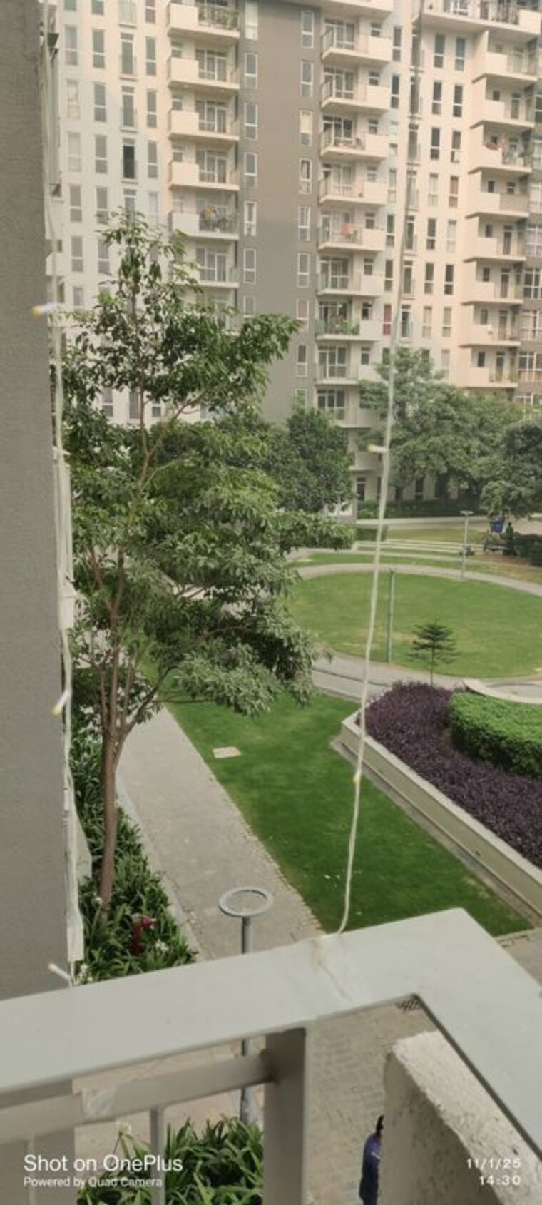 Garden, ireo-the-corridors 3 Bedroom 1450 Sq.Ft. Apartment In Sector 67a Gurgaon 10636641