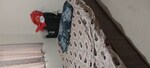 2 BHK + Basement 1200 Sq.Ft. Apartment in Basavanagudi