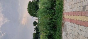 Plot Area in  Plot at Bad – for Sale