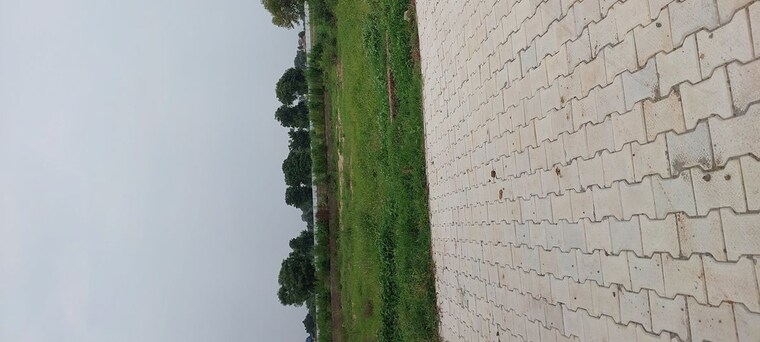 undefined, bad  130 Sq.Yd. Plot In Bad Agra 10627563