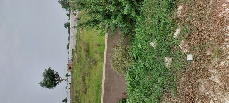 undefined, bad  130 Sq.Yd. Plot In Bad Agra 10627563