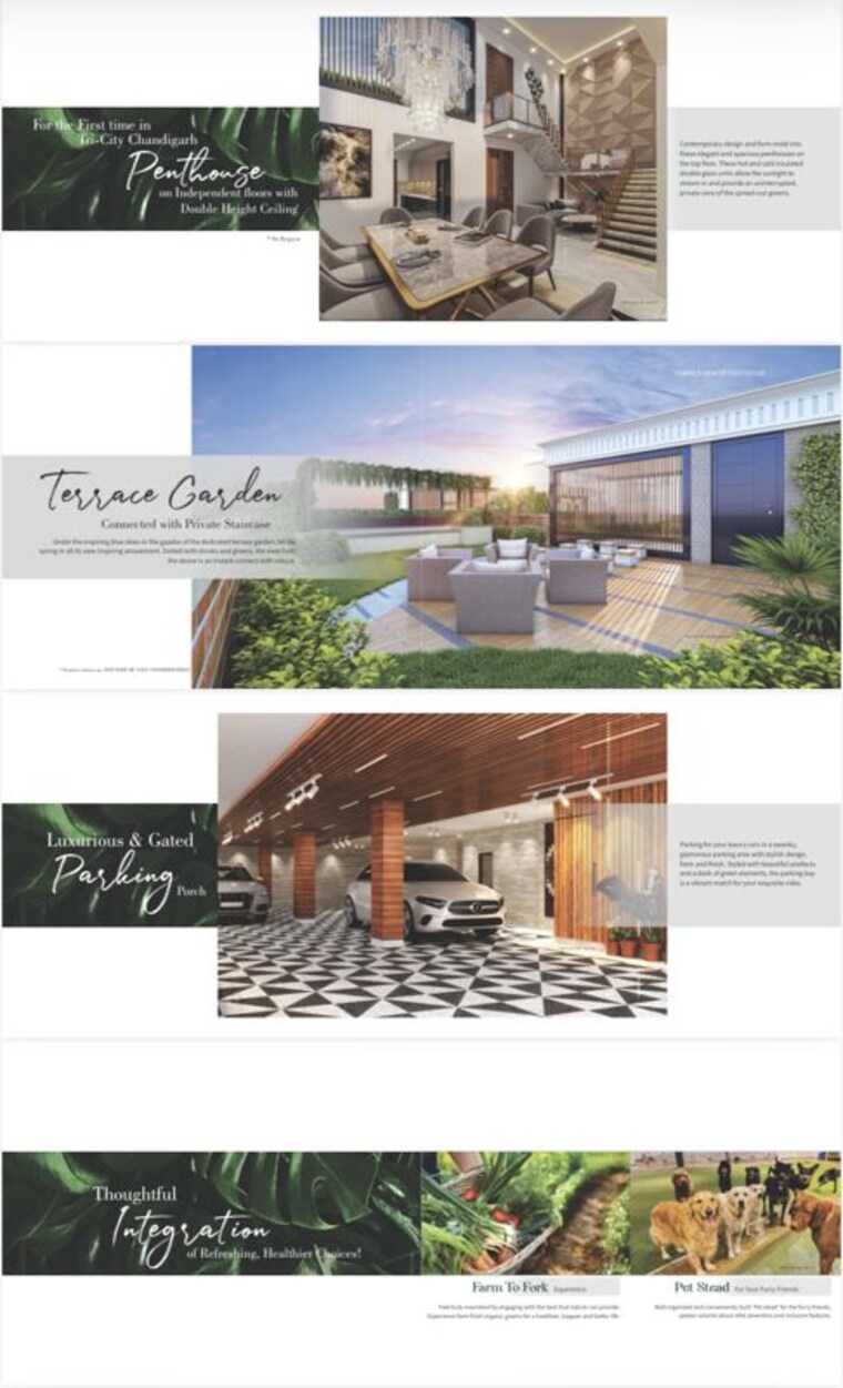 Exterior View, omaxe-new-chandigarh 4 Bedroom 2220 Sq.Ft. Apartment In North Mullanpur Chandigarh 10636732