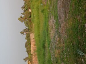  Plot For Sale in Nazirabad