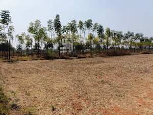  Plot For Sale in Jayamahal