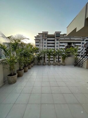 Balcony in 1 BHK Builder Floor at Sector 42 – for Rent