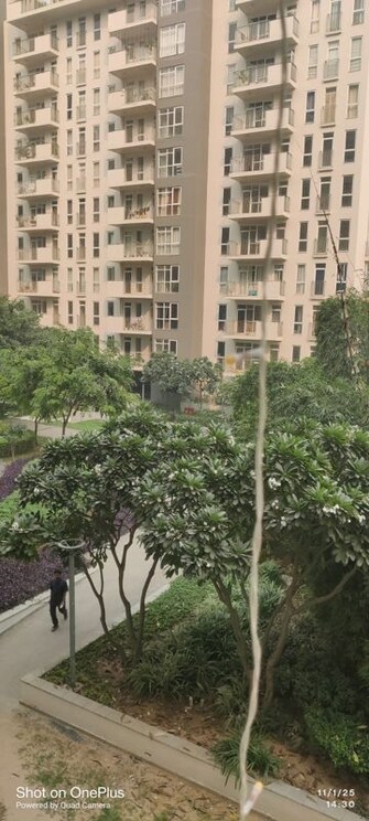 3 BHK + Servant Room 1920 Sq.Ft. Apartment in Ireo The Corridors