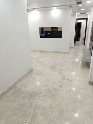 3 BHK Builder Floor For Sale in Rohini Sector 8