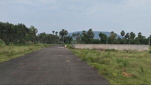 Plot Area in  Plot at Lankelapalem – for Sale
