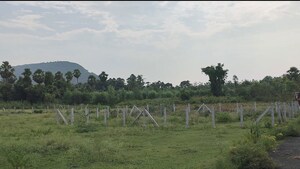 Plot Area in  Plot at Lankelapalem – for Sale