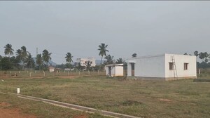  Plot For Sale in Lankelapalem