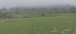 6 Acre Plot in Igatpuri
