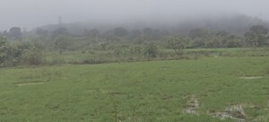  Plot For Sale in Igatpuri