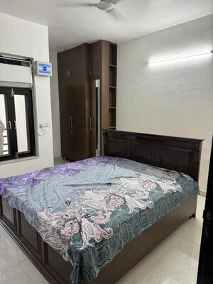 3 BHK Builder Floor For Rent in Pitampura