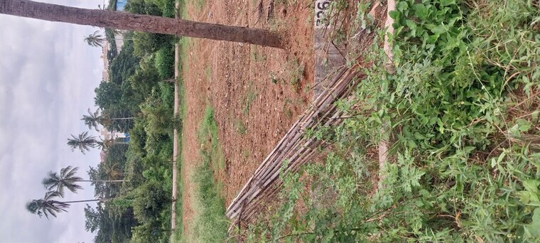 Garden, banashankari Commercial Land 4200 Sq.Ft. In Banashankari Bangalore 10638422