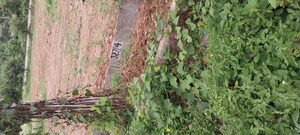 Plot Area in  Land at Banashankari – for Rent