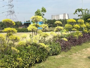  Plot – Garden View at Chi V Greater Noida - for Sale