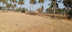 Plot Area in  Plot at Doddaballapura – for Rent