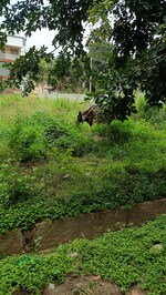 2400 Sq.Ft. Plot in Aiswarya Golden Nest
