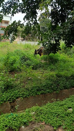 Plot For Sale in Aiswarya Golden Nest
