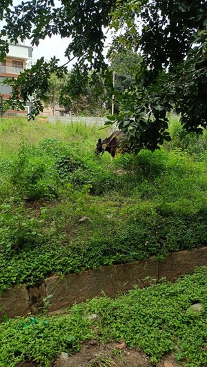  Plot For Sale in Aiswarya Golden Nest, Bannerghatta