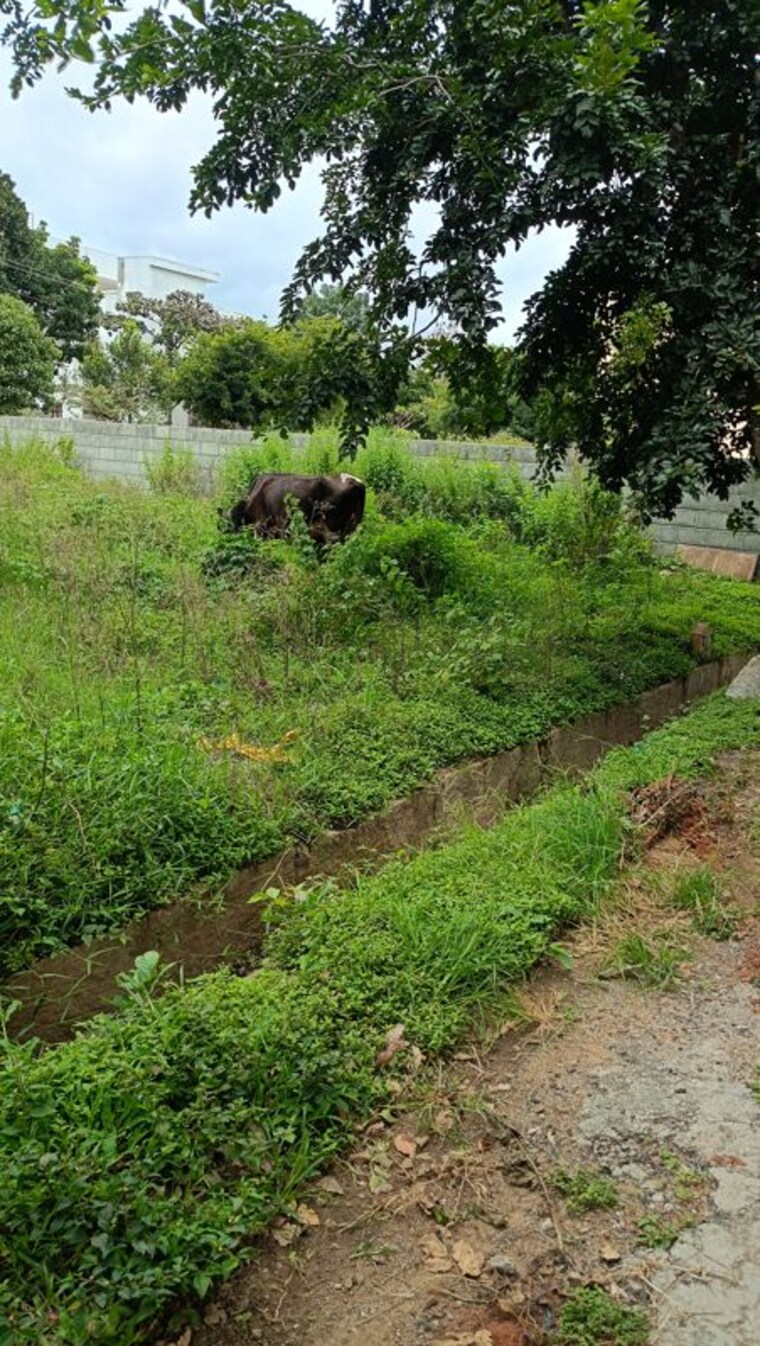 undefined, aiswarya-golden-nest  2400 Sq.Ft. Plot In Bannerghatta Bangalore 10638559