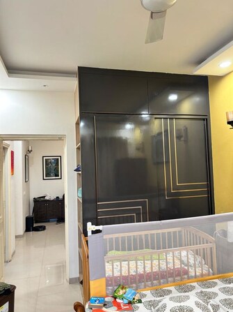 3 BHK Apartment For Rent in Tulip Violet in Sector 69, Gurgaon