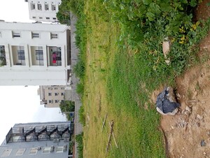 Plot Area in  Plot at Narsingi – for Sale