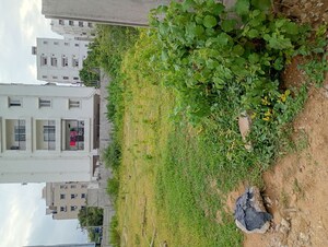  Plot For Sale in Narsingi