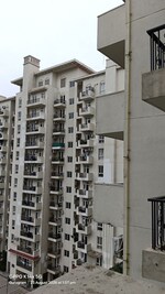 3 BHK + Study Room 1235 Sq.Ft. Apartment in Emaar Emerald Estate