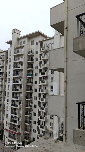 3 BHK Apartment For Rent in Emaar Emerald Estate, Sector 65