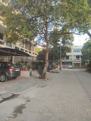 Parking in 3 BHK Builder Floor at Ardee City, Sector 52 – for Rent