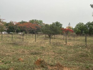 Plot Area in  Plot at Magnolia Garden, Mysore Road – for Sale