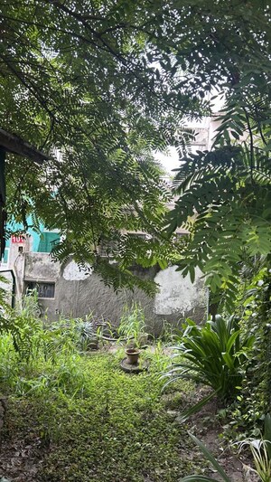 3 BHK Independent House – Exterior View View at Sector 28 - for Sale