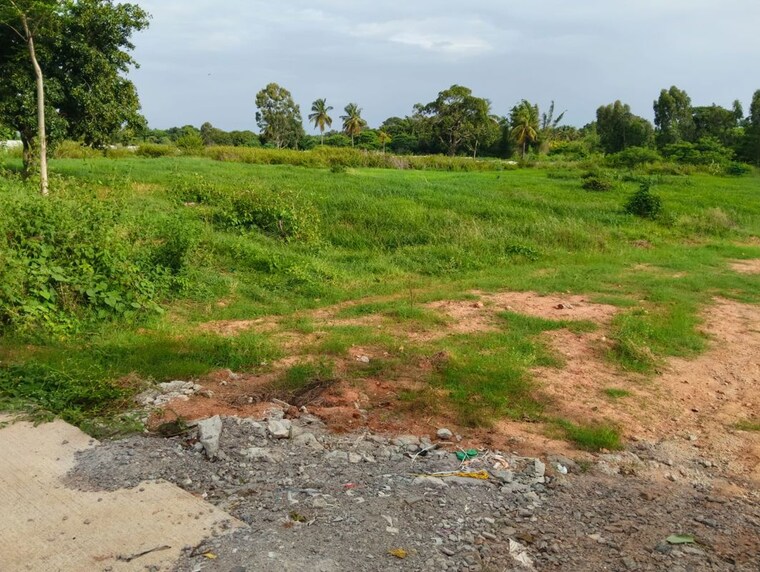 undefined, dobbaspet Commercial Land 5 Acre In Dobbaspet Bangalore 10639679