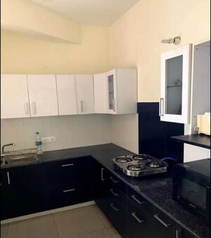 Kitchen in 3 BHK Apartment at Nabha – for Rent