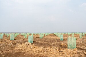  Land For Sale in Narayankhed