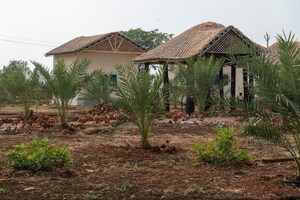  Land – Exterior View View at Narayankhed - for Sale
