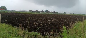 Plot Area in  Land at Narayankhed – for Sale